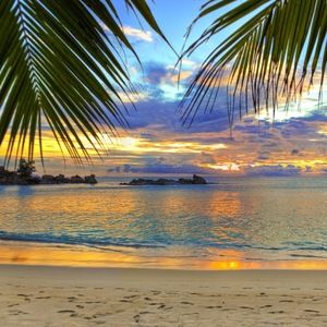 Meet your Posher, Yasmine